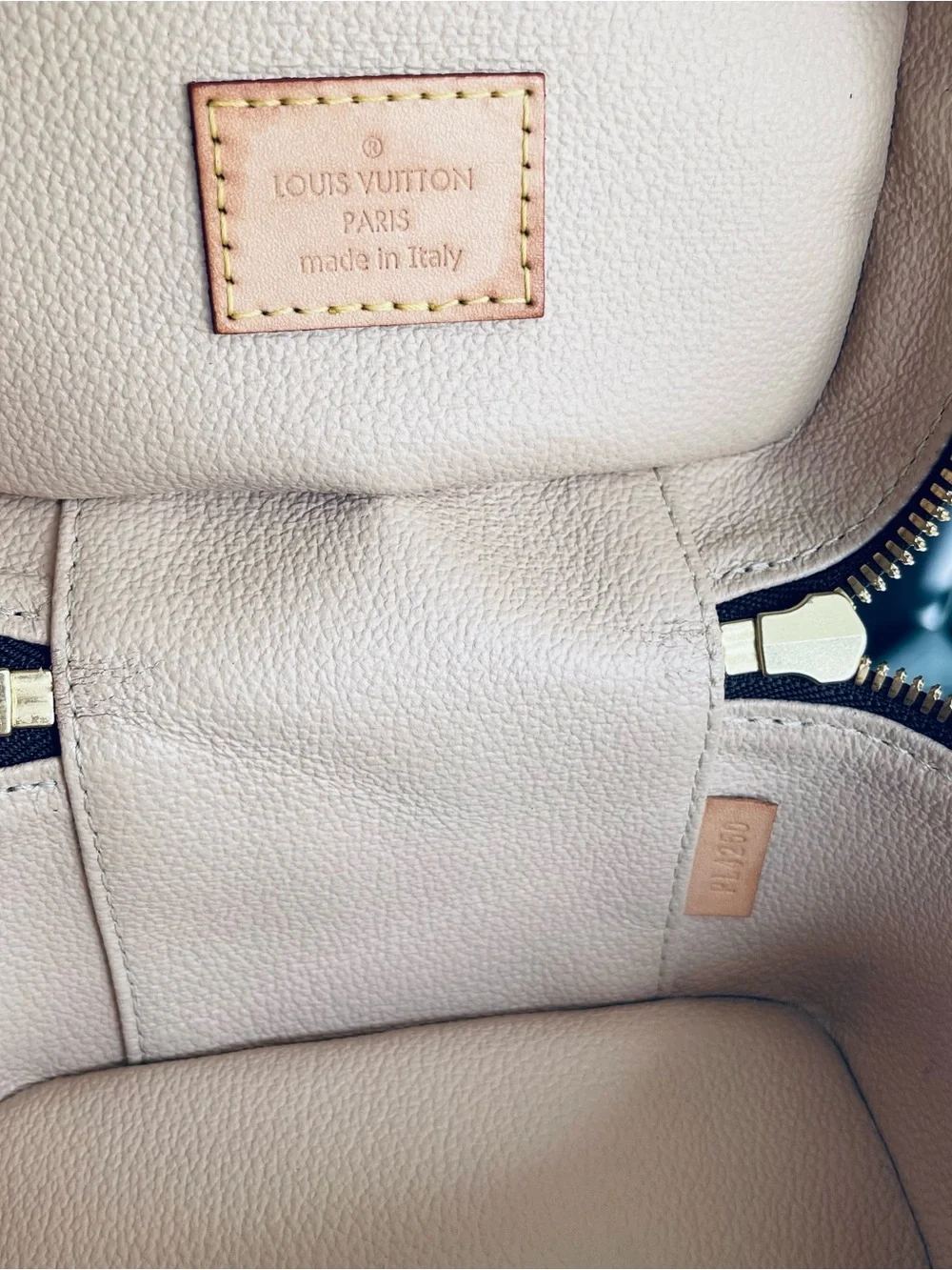 Louis Vuitton Nice Nano Monogram with free non LV crossbody strap.